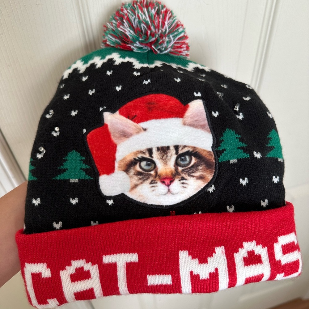 LED light up Christmas cat beanie